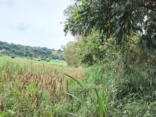 #491 - Terreno para Venta en Nejapa - San Salvador - 2