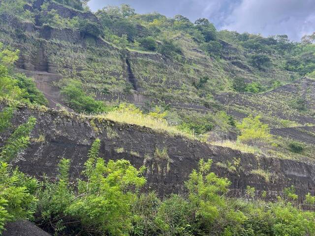 #494 - Área para Venta en Chalchuapa - Santa Ana - 3