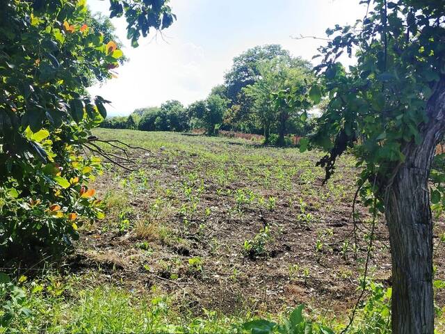 #495 - Terreno para Venta en La Libertad - La Libertad