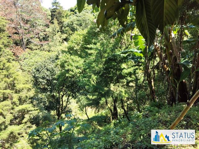 #498 - Terreno para construcción para Venta en Ciudad de Guatemala - Guatemala