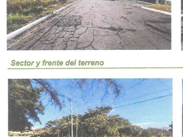 Quinta para Venta en Ciudad de Guatemala - 5