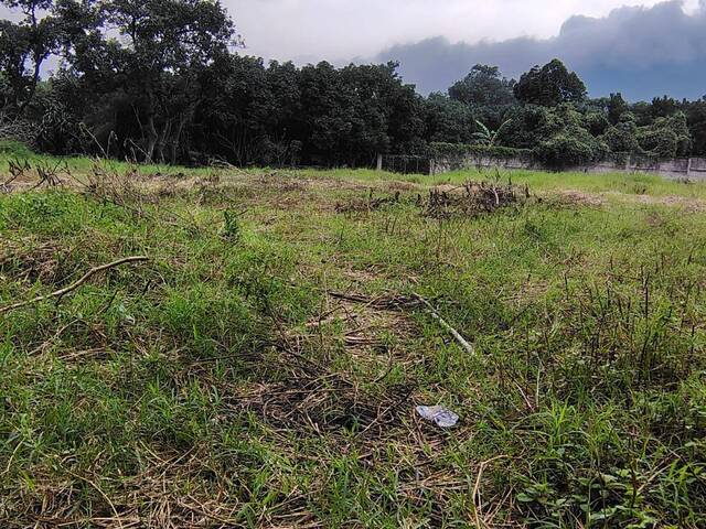 #500 - Quinta para Venta en Ciudad de Guatemala - Guatemala