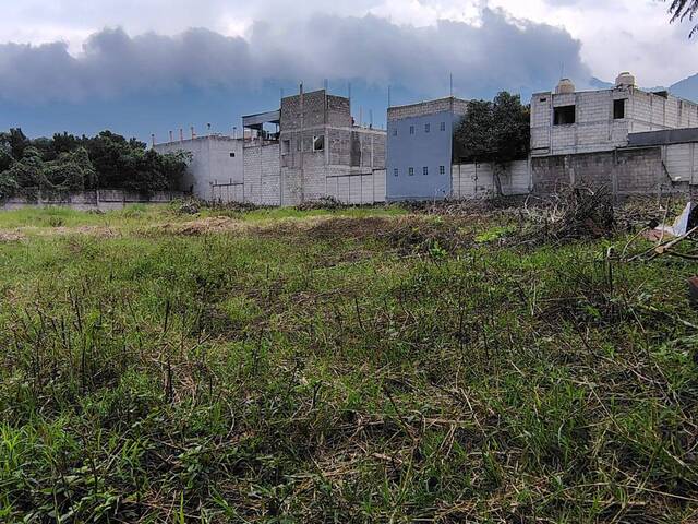 #500 - Quinta para Venta en Ciudad de Guatemala - Guatemala