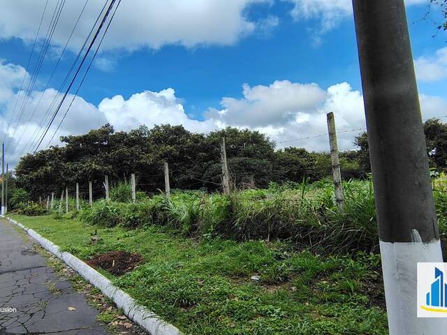 #499 - Quinta para Venta en Ciudad de Guatemala - Guatemala