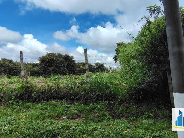 #499 - Quinta para Venta en Ciudad de Guatemala - Guatemala - 2