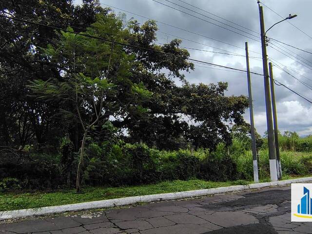 #499 - Quinta para Venta en Ciudad de Guatemala - Guatemala - 3