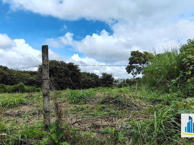 Quinta para Venta en Ciudad de Guatemala - 4