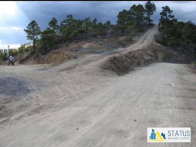 Venta en ZONA 6 - Ciudad de Guatemala