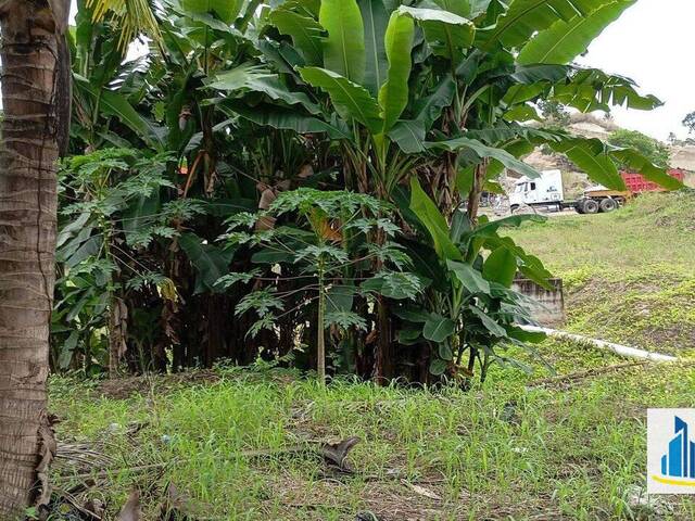 Terreno para construcción para Venta en Ciudad de Guatemala - 4