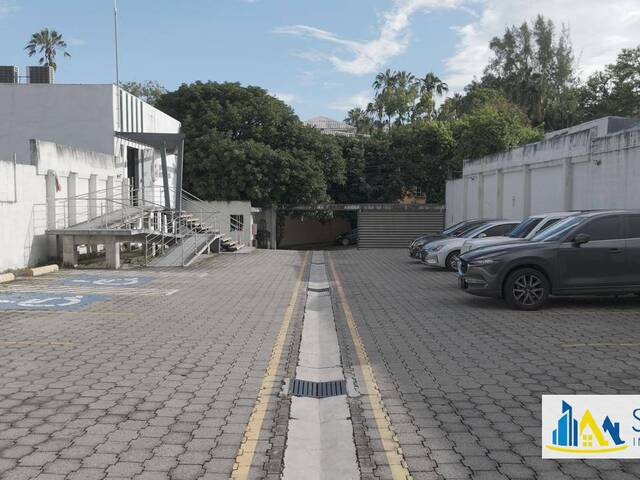 #519 - Oficina para Alquiler en San Salvador - San Salvador