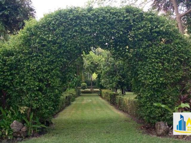 #521 - Área para Venta en Sonsonate - Sonsonate - 3