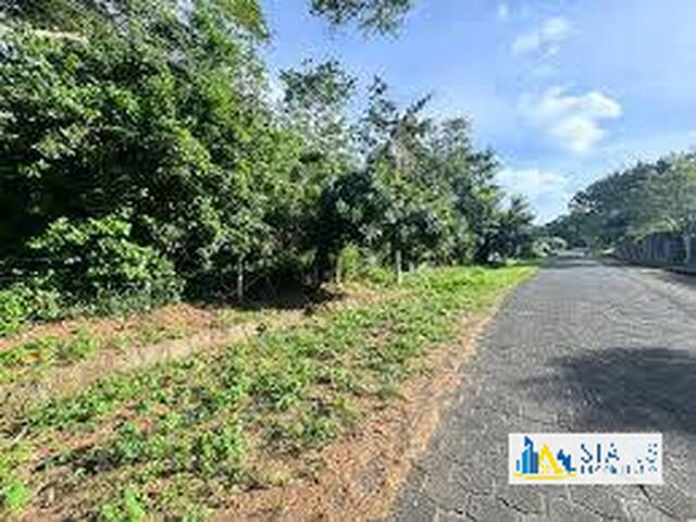 #538 - Área para Venta en Ciudad de Guatemala - Guatemala - 3