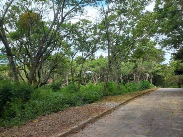 Área para Venta en Ciudad de Guatemala - 4