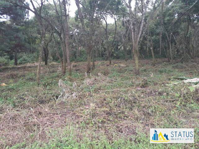 #541 - Área para Venta en Ciudad de Guatemala - Guatemala - 2