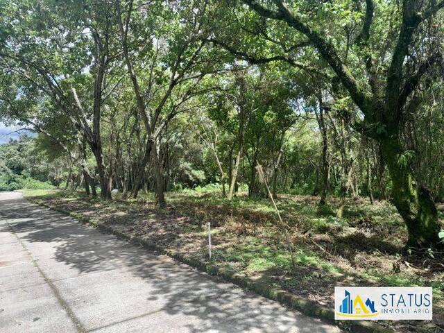 Área para Venta en Ciudad de Guatemala - 4