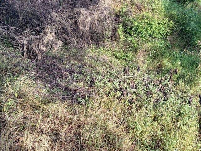 #543 - Área para Venta en Ciudad de Guatemala - Guatemala