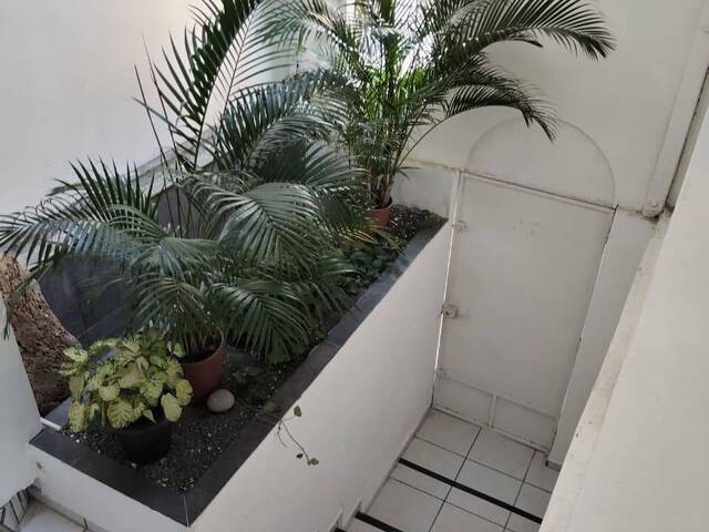  en  - 