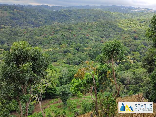 #605 - Área para Venta en Nuevo Cuscatlán - La Libertad - 3